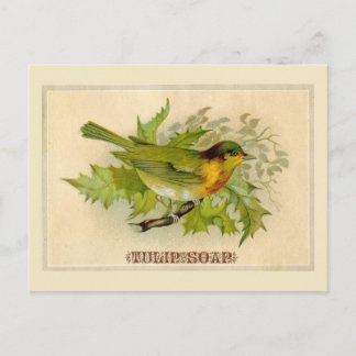 Vintage-Vogel Postkarte