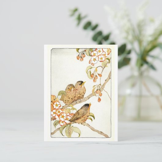 Vintage Vögel Postkarte (Stehend Vorderseite)