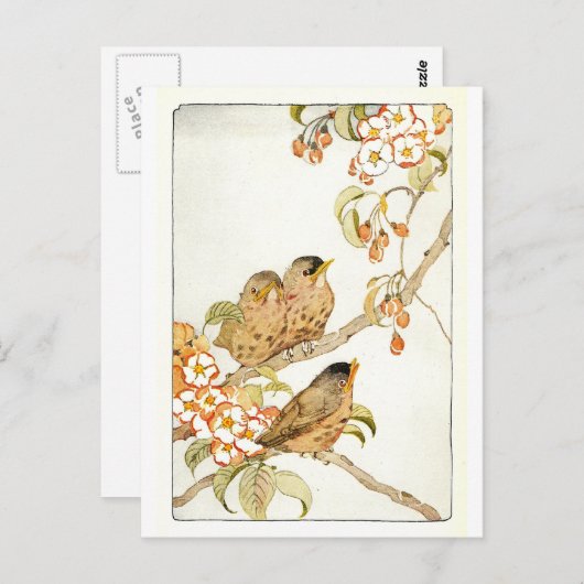 Vintage Vögel Postkarte (Vorne/Hinten)