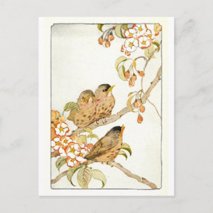 Vintage Vögel Postkarte