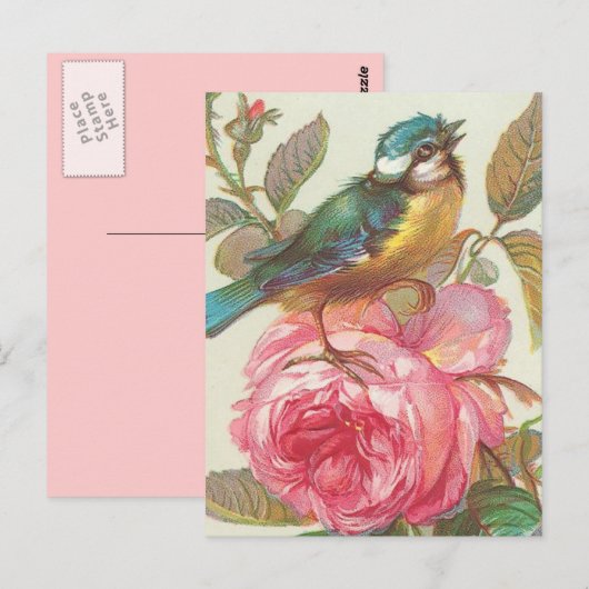 Vintage Vogel Postkarte (Vorne/Hinten)