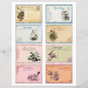 Vintage-Vogel-Postkarte ATC-Karten Scrapbook-Papie
