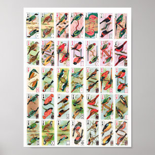 Vintage-Vögel Spielkarten Tiere Wildlife-Kunst Poster