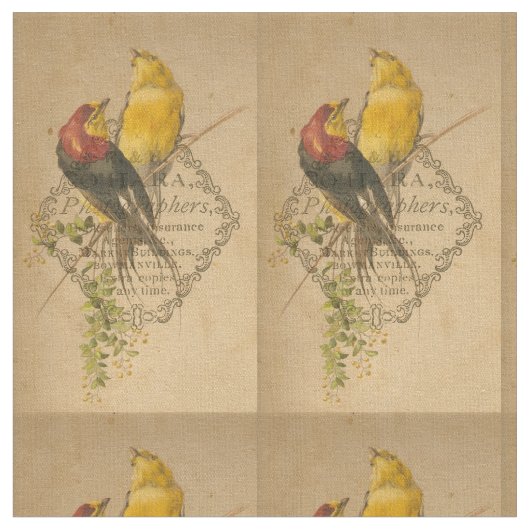 Vintage Vögel und antike Fotografien Digitale Kuns Stoff (Nahaufnahme)