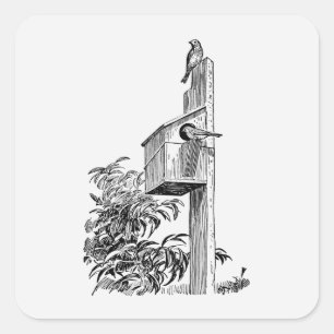 Vintage Vögel und Birdhouse-Aufkleber Quadratischer Aufkleber