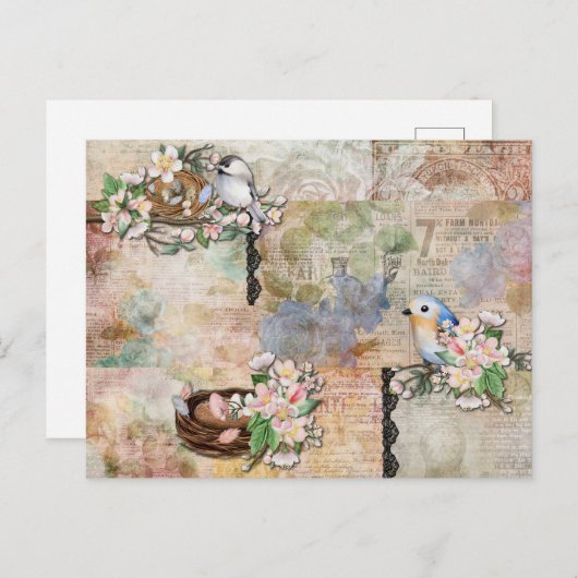 Vintage Vögel und Ephemerakollage Postkarte (Vorne/Hinten)