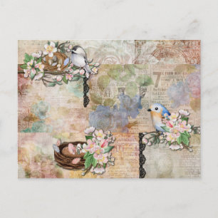 Vintage Vögel und Ephemerakollage Postkarte