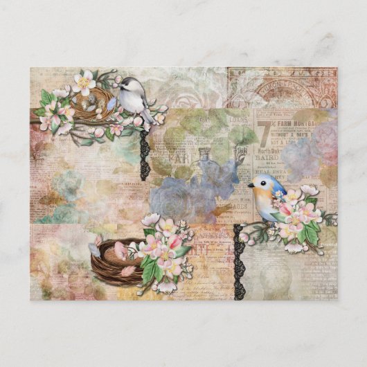 Vintage Vögel und Ephemerakollage Postkarte (Vorderseite)