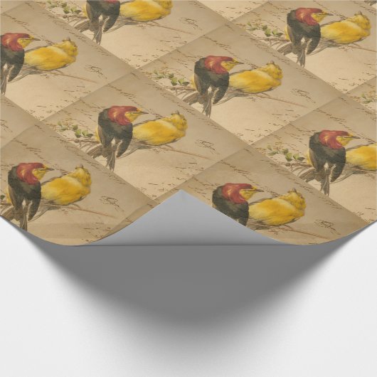 Vintage Vögel und Papiere Geschenkpapier (Ecke)