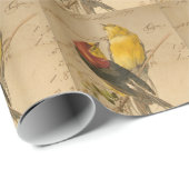 Vintage Vögel und Papiere Geschenkpapier (Rolleneckpunkt)