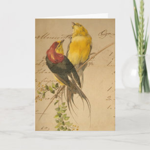 Vintage Vögel und Papiere, Weihnachten