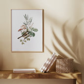 Vintage-Vogel- und Pilz-Botanik Poster