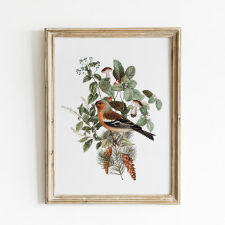 Vintage-Vogel- und Pilz-Botanik Poster