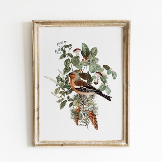 Vintage-Vogel- und Pilz-Botanik Poster