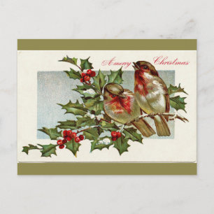 Vintage Vögel und Stechpalme Oliven Grün Weihnacht Feiertagspostkarte