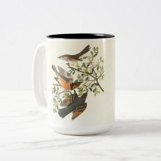 Vintage-Vogel- & Wildblumen-Kaffeetasse | Elegante Zweifarbige Tasse