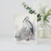 Vintage Vogelanzeige für Weißstorch Postkarte (Stehend Vorderseite)