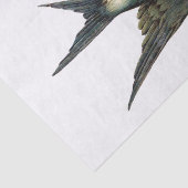 Vintage Vogelanzeige Seidenpapier (Ausschnitt)