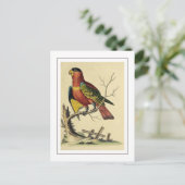 Vintage Vogelart Postkarte (Stehend Vorderseite)