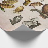 Vintage Vogelarten Wildtiere Kunstsammlung Geschenkpapier (Ecke)