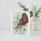 Vintage Vogelausgabe Postkarte (Stehend Vorderseite)