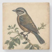 Vintage Vogelausgabe Steinuntersetzer (Vorderseite)