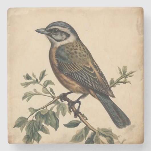 Vintage Vogelausgabe Steinuntersetzer (Vorderseite)