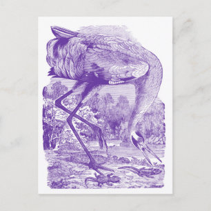 Vintage-Vogelbild Lila Kranich Postkarte