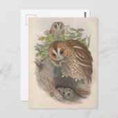 Vintage Vogelbrille Postkarte (Vorne/Hinten)