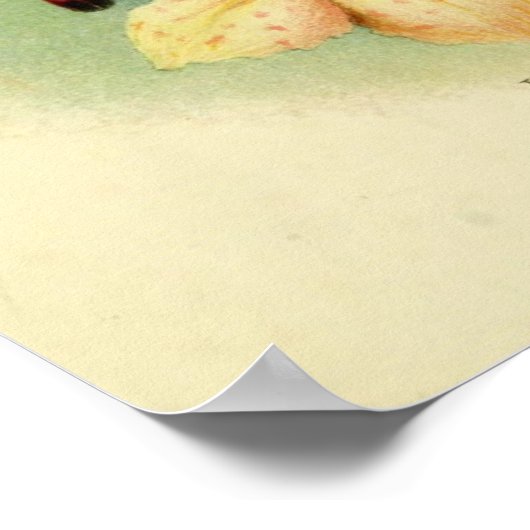 Vintage Vogeldarstellung Poster (Ecke)