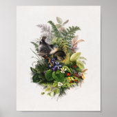 Vintage Vogeldarstellung Poster (Vorne)