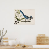 Vintage Vogeldarstellung Poster (Küche)