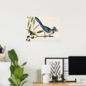 Vintage Vogeldarstellung Poster (Heimbüro)