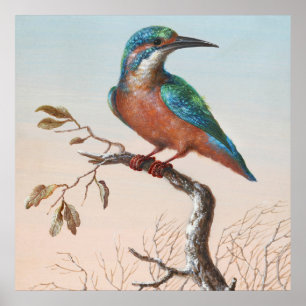 Vintage Vogeldarstellung Poster