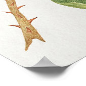 Vintage Vogeldarstellung Poster (Ecke)