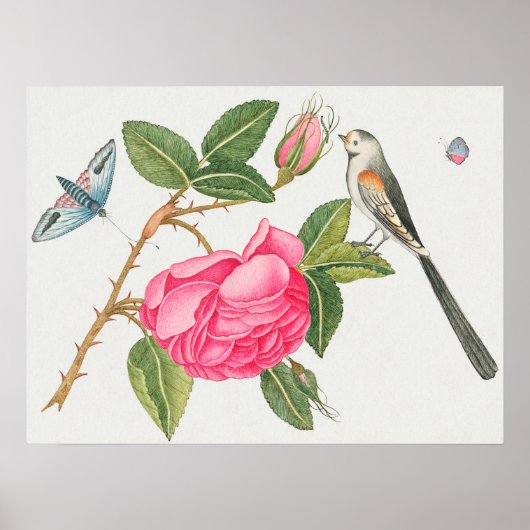 Vintage Vogeldarstellung Poster (Vorne)