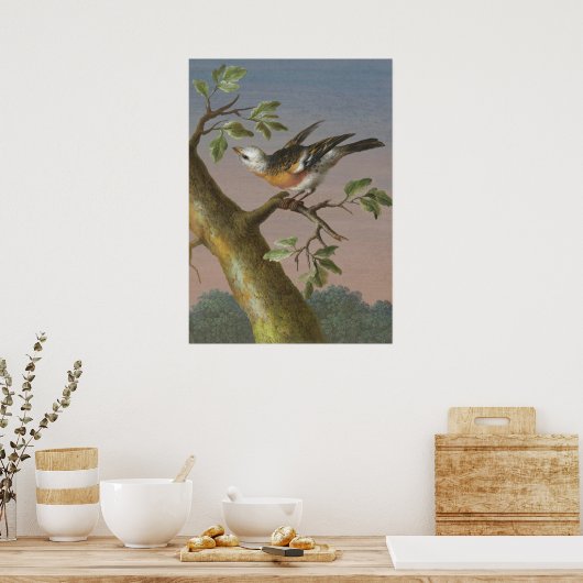 Vintage Vogeldarstellung Poster (Küche)
