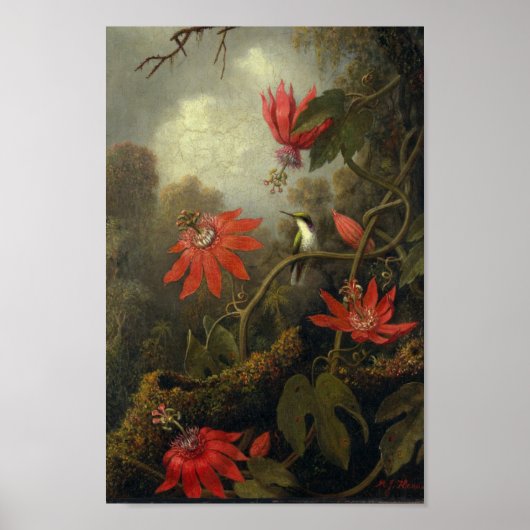 Vintage Vogeldarstellung Poster (Vorne)