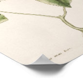 Vintage Vogeldarstellung Poster (Ecke)