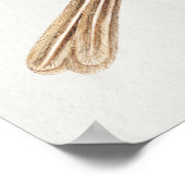 Vintage Vogeldarstellung Poster (Ecke)