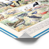 Vintage Vogeldarstellung Poster (Ecke)