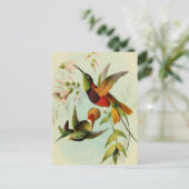 Vintage Vogeldarstellung Postkarte (Stehend Vorderseite)