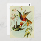 Vintage Vogeldarstellung Postkarte (Vorne/Hinten)