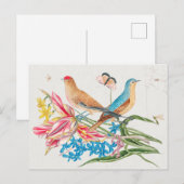 Vintage Vogeldarstellung Postkarte (Vorne/Hinten)