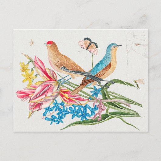 Vintage Vogeldarstellung Postkarte (Vorderseite)