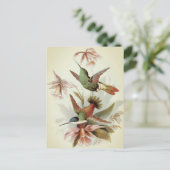 Vintage Vogeldarstellung Postkarte (Stehend Vorderseite)