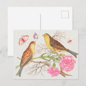 Vintage Vogeldarstellung Postkarte (Vorne/Hinten)