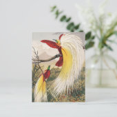 Vintage Vogeldarstellung Postkarte (Stehend Vorderseite)