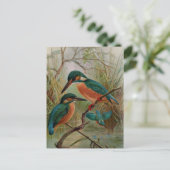 Vintage Vogeldarstellung Postkarte (Stehend Vorderseite)