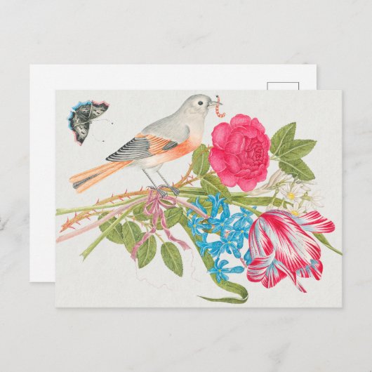 Vintage Vogeldarstellung Postkarte (Vorne/Hinten)